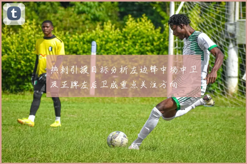 热刺引援目标分析左边锋中场中卫及正牌左后卫成重点关注方向