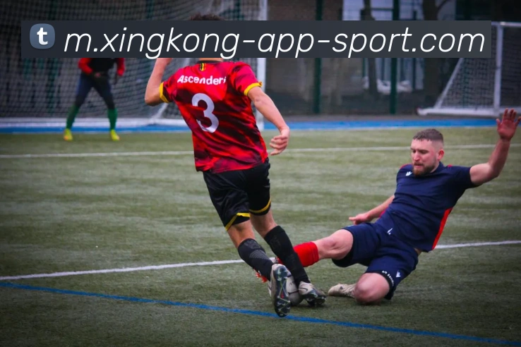 星空体育平台生态图