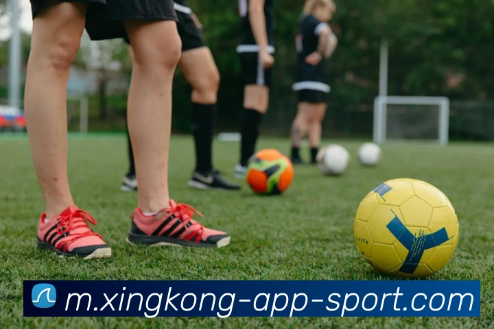 星空体育APP 封面图