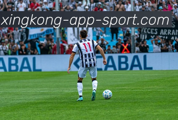 数据防护可视化